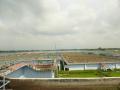 Asia's largest sewage treatment plant at Bharwara, near Lucknow. (Source: IWP Flickr photos; photo for representation only)