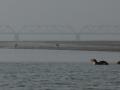 Journey to the Karnali-Ghaghra confluence