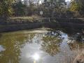 A farm pond in Kakaddara.