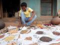 Aadi Kumbruka with various types of legumes, millets, oilseeds and corns grown on his farm.