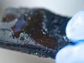 Photo of pollution-absorbing nanosponge courtesy of Jeff Fitlow/Rice University