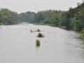 Cauvery river (Source: India Water Portal)