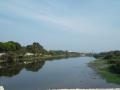Cooum river, Tamil Nadu (Source: Wikipedia)