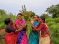 The women of Deccan Development Society sanghams move towards more localized natural resource management (Image: Deccan Development Society, Facebook Page)