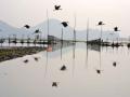 Deepor beel, Assam (Source : India Water Portal)