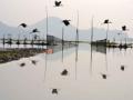 Deepor beel, Assam (Source : IWP Flickr Photos)