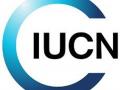 Water Future II by IUCN