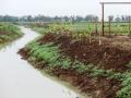 Canal restoration in Puri district (Source: Regional Centre for Development Cooperation)