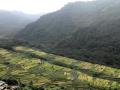 Terraced farming is the norm in mountain states