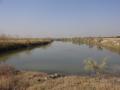 Around 15 lakes helped deal with soil salinity