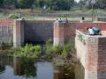 Children look for water snakes in the pond