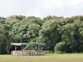 Sacred grove in Mawphlang, Meghalaya