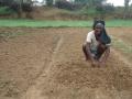 Farmer in Palamau; Image: VSK, Palamau