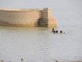 Waterbody in Bhuj, Gujarat (Picture courtesy: IWP Flickr)