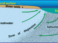 Process explaining seawater intrusion