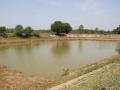 Small tank near Thalambedu in Kanchipuram