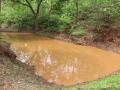 Community pond in Doja after the first pre-monsoon rain. Pic credit: Rajat Kumar