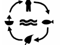 Integrated water resource management