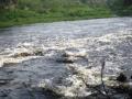 The polluted Kali river. (Image source: Neer Foundation)