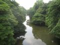 Karamana river from the Karamana Bridge