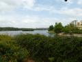 A lake once more: Kaikondarahalli Lake