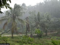 Monsoon hits Kerala