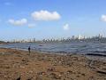 Marine litter on one of the Mumbai beaches. (Image Source: Wikimedia Commons)