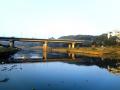 The highly polluted Mutha river as it flows through Pune. (Image Source: India Water Portal)