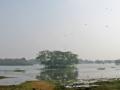 Sultanpur bird sanctuary Source: Wikipedia