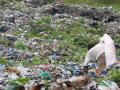 A wastepicker sorts through waste (source: Chicu)