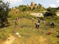 Plantation in Gomala (Image: Foundation for Ecological Security)