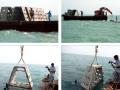 Artificial reefs get immersed in the sea. (Source: India Science Wire)