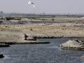 The parched Yamuna (Photo courtesy: The Indian Express)