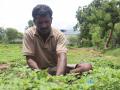 A farmer at work. (Source: SaciWATERs)