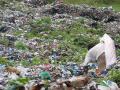 A wastepicker in a sea of garbage