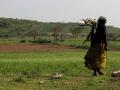 Large population of scheduled caste, and other communities reside in or around protected areas of the basin.