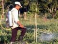 Farmer spraying pesticide (Source: Wikimedia Commons)