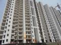 Building bye-laws mandate that builders adhere to environmental norms and install energy-saving mechanisms like solar installations, water harvesting and waste recycling methods.