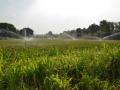 Sprinkler irrigation in Narayanganj block, Mandla district, Madhya Pradesh (Image Source: WOTR)