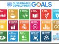 Sustainable Development Goals adopted in 2015 as a part of the 2030 agenda. (Source: Wikipedia Commons)