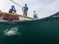 Fishers of Palk Bay out for a catch. Image by: Umeed Mistry