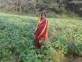 Urmila Mahato at her farm.