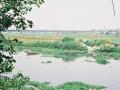 For a river to be healthy & maintain all its associated functions, free flow must be close to 50-60% of the total flow all year round (Source: Wikimedia)