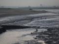 Yamuna turns into a sewer at many areas. (Picture courtesy: The Indian Express)