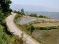 Ponds as reservoirs for paddy fields located below