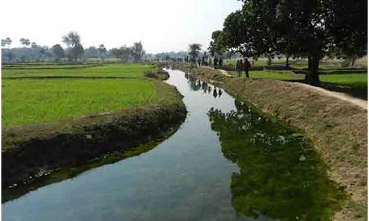 Ahar Pyne system in Gaya, South Bihar  (Image courtesy: Hindi Water Portal)