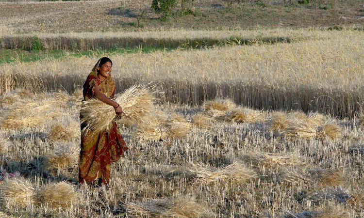 In incorporating female participation, some programmes only added (futile) burden on these women without challenging the current division of labour. (Image: Wikimedia Commons)