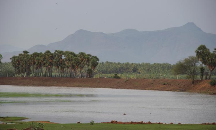 The dying tanks of Madurai (Image Source: Seetha Goplalakrishnan)