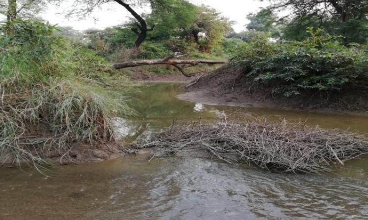 The river Kanari and her story (Image Source: Ayushi Trivedi)
