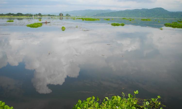 Deepor Beel is a freshwater lake in Assam (Source: IWP Flickr links)
